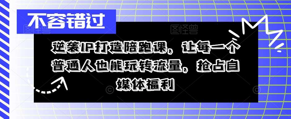 逆袭IP打造陪跑课，让每一个普通人也能玩转流量，抢占自媒体福利-吾藏分享