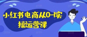 小红书电商从0-1实操运营课，小红书手机实操小红书/IP和私域课/小红书电商电脑实操板块等-吾藏分享