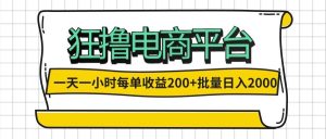 一天一小时 狂撸电商平台 每单收益200+ 批量日入2000+-吾藏分享