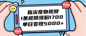 指尖宠物视频，1条视频涨粉1700，单日变现5000+-吾藏分享