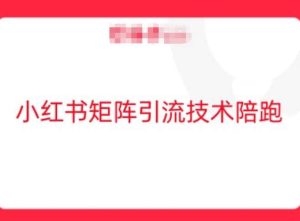 小红书矩阵引流技术，教大家玩转小红书流量-吾藏分享