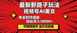 最新野路子玩法，视频号AI美女，当天见收益，轻松月入30000＋-吾藏分享