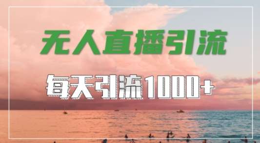 抖音快手视频号全平台通用，无人直播引流法，超暴力引流1000+高质量精准创业粉【揭秘】-吾藏分享