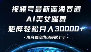 视频号最新蓝海赛道，小白也能轻松月入30000+-吾藏分享