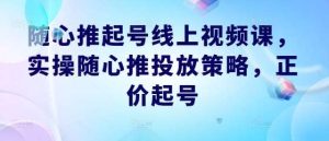 随心推起号线上视频课，实操随心推投放策略，正价起号-吾藏分享