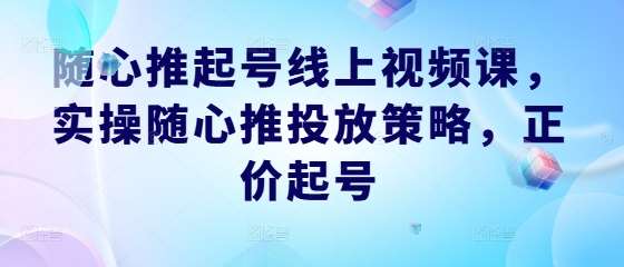 随心推起号线上视频课，实操随心推投放策略，正价起号-吾藏分享