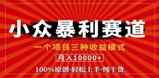 视频号最新爆火赛道，三种可收益模式，0粉新号条条原创条条热门 日入1000+-吾藏分享