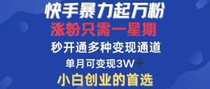 快手暴力起万粉，涨粉只需一星期，多种变现模式，直接秒开万合，小白创…-吾藏分享