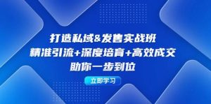 打造私域&发售实操班：精准引流+深度培育+高效成交，助你一步到位-吾藏分享