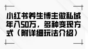 小红书养生博主做私域年入50万，多种变现方式（附详细玩法介绍）-吾藏分享