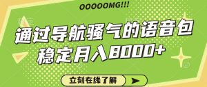 骚气的导航语音包，自用的同时还可以作为项目操作，月入8000+-吾藏分享