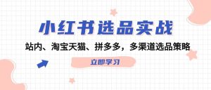 小红书选品实战：站内、淘宝天猫、拼多多，多渠道选品策略-吾藏分享