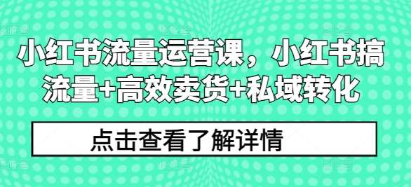 小红书流量运营课，小红书搞流量+高效卖货+私域转化-吾藏分享