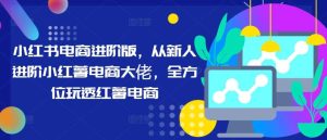 小红书电商进阶版，从新人进阶小红薯电商大佬，全方位玩透红薯电商-吾藏分享