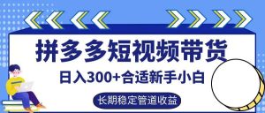 拼多多短视频带货日入300+，实操账户展示看就能学会-吾藏分享