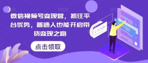 微信视频号变现营，抓住平台优势，普通人也能开启带货变现之路-吾藏分享