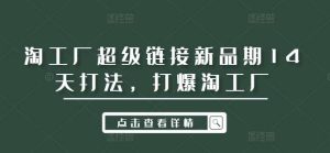 淘工厂超级链接新品期14天打法，打爆淘工厂-吾藏分享