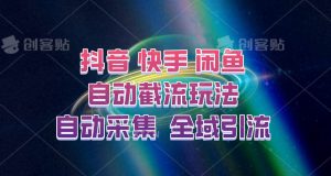 快手、抖音、闲鱼自动截流玩法，利用一个软件自动采集、评论、点赞、私信，全域引流-吾藏分享