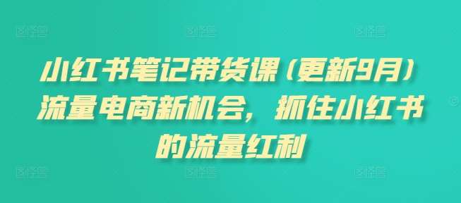 小红书笔记带货课(更新9月)流量电商新机会，抓住小红书的流量红利-吾藏分享