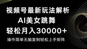 视频号最新暴利玩法揭秘，轻松月入30000+-吾藏分享