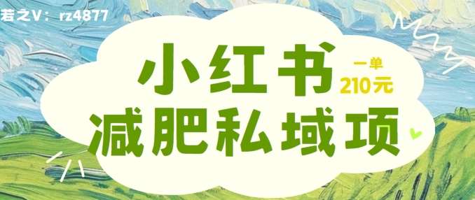 小红书减肥粉，私域变现项目，一单就达210元，小白也能轻松上手【揭秘】-吾藏分享