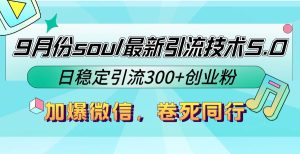 9月份soul最新引流技术5.0，日稳定引流300+创业粉，加爆微信，卷死同行-吾藏分享