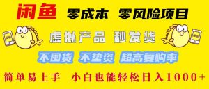 闲鱼 零成本 零风险项目 虚拟产品秒发货 不囤货 不垫资 超高复购率  简…-吾藏分享