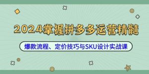 2024掌握拼多多运营精髓：爆款流程、定价技巧与SKU设计实战课-吾藏分享