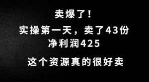 这个资源，需求很大，实操第一天卖了43份，净利润425【揭秘】-吾藏分享