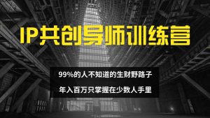 IP共创导师训练营 99%的人不知道的生财野路子 只掌握在少数人手里-吾藏分享