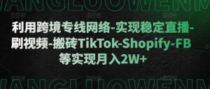 利用跨境专线网络-实现稳定直播-刷视频-搬砖TikTok-Shopify-FB等实现月入2W+-吾藏分享