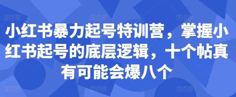 小红书暴力起号特训营，掌握小红书起号的底层逻辑，十个帖真有可能会爆八个-吾藏分享