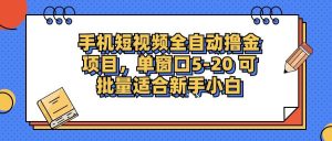 手机短视频掘金项目，单窗口单平台5-20 可批量适合新手小白-吾藏分享