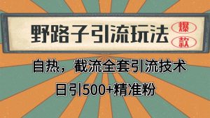 抖音小红书视频号全平台引流打法，全自动引流日引2000+精准客户-吾藏分享