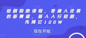 短剧陪跑课程，普通人逆袭的新赛道，新人入行短剧，先搞它100W-吾藏分享