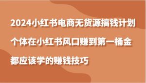 2024小红书电商无货源搞钱计划，个体在小红书风口赚到第一桶金应该学的赚钱技巧-吾藏分享