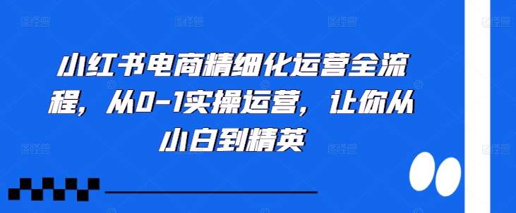 小红书电商精细化运营全流程，从0-1实操运营，让你从小白到精英-吾藏分享