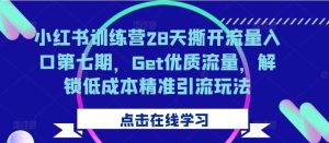 小红书训练营28天撕开流量入口第七期，Get优质流量，解锁低成本精准引流玩法-吾藏分享