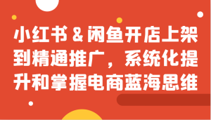 小红书&闲鱼开店上架到精通推广，系统化提升和掌握电商蓝海思维-吾藏分享