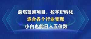 最燃蓝海项目  数字IP孵化  适合各个行业变现  小白也能日入5位数-吾藏分享