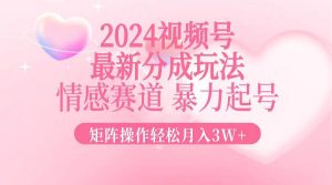 2024最新视频号分成玩法，情感赛道，暴力起号，矩阵操作轻松月入3W+-吾藏分享