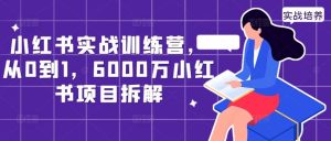 小红书实战训练营，从0到1，6000万小红书项目拆解-吾藏分享