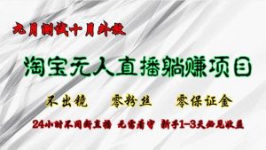 淘宝无人直播最新玩法，九月测试十月外放，不出镜零粉丝零保证金，24小…-吾藏分享