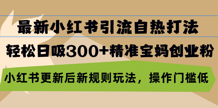 最新小红书引流自热打法，轻松日吸300+精准宝妈创业粉，小红书更新后新…-吾藏分享