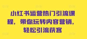 小红书运营热门引流课程，带你玩转内容营销，轻松引流获客-吾藏分享