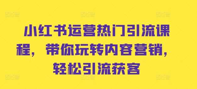 小红书运营热门引流课程，带你玩转内容营销，轻松引流获客-吾藏分享