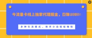 流量卡线上独家代理掘金，日入1k+ ，多种引流模式，新手小白轻松上手-吾藏分享