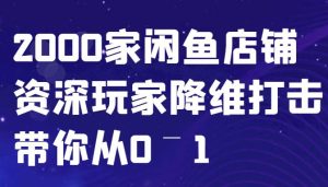 闲鱼已经饱和？纯扯淡！2000家闲鱼店铺资深玩家降维打击带你从0–1-吾藏分享