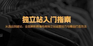 独立站入门指南：从选品到建站，全面解析跨境电商独立站运营技巧与爆品…-吾藏分享