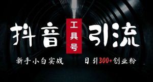 2024最新抖音工具号引流玩法，高效日引300+创业粉，当天变现5k，小白也可成为实战高手-吾藏分享